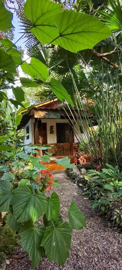 Cabinas Tito Cahuita Eksteriør bilde