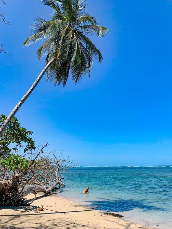 Cabinas Tito Cahuita Eksteriør bilde
