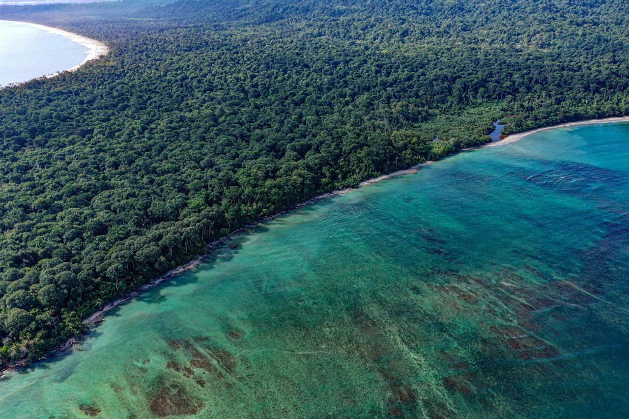 Cabinas Tito Cahuita Eksteriør bilde