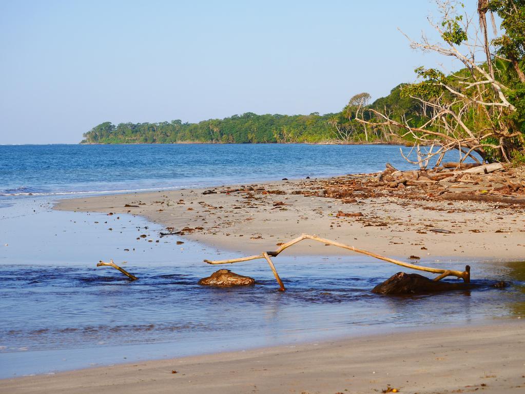 Cabinas Tito Cahuita Eksteriør bilde