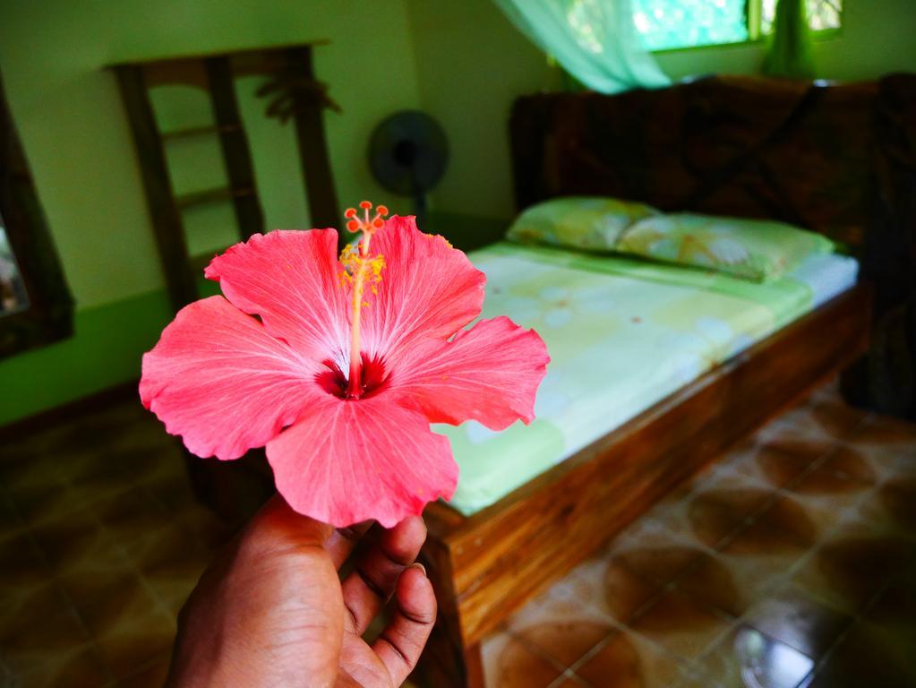 Cabinas Tito Cahuita Eksteriør bilde