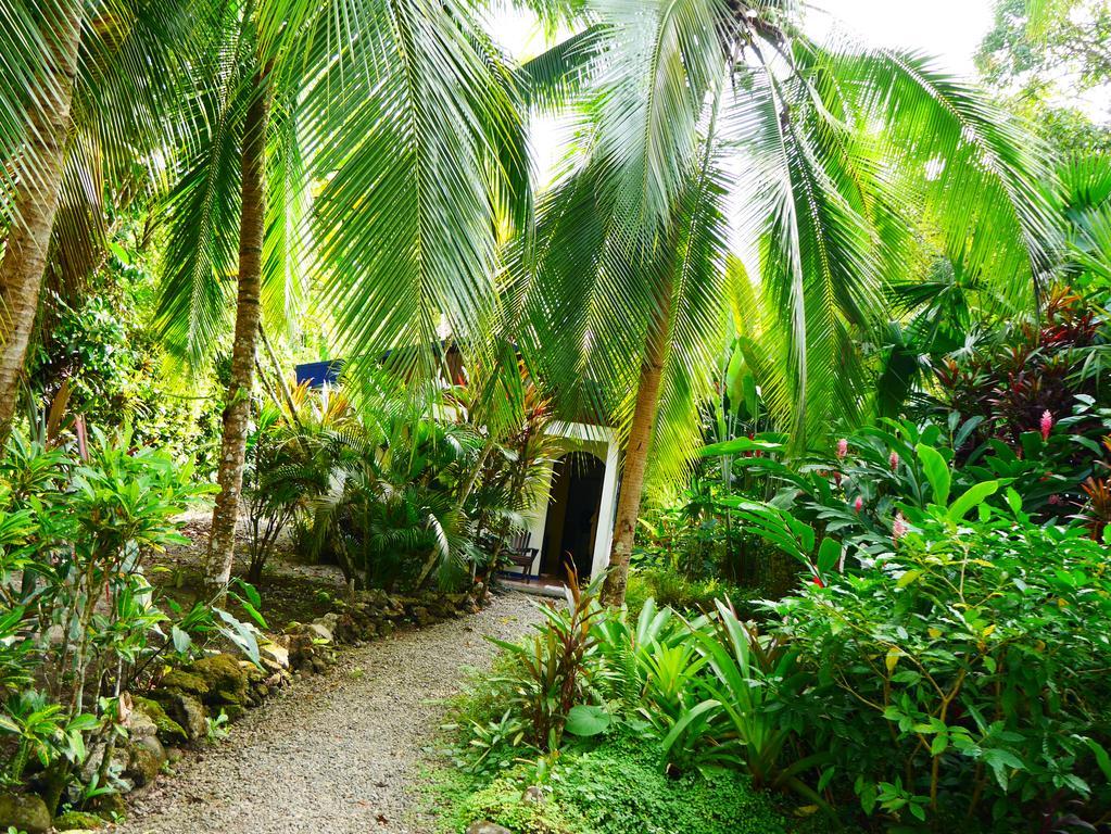 Cabinas Tito Cahuita Rom bilde