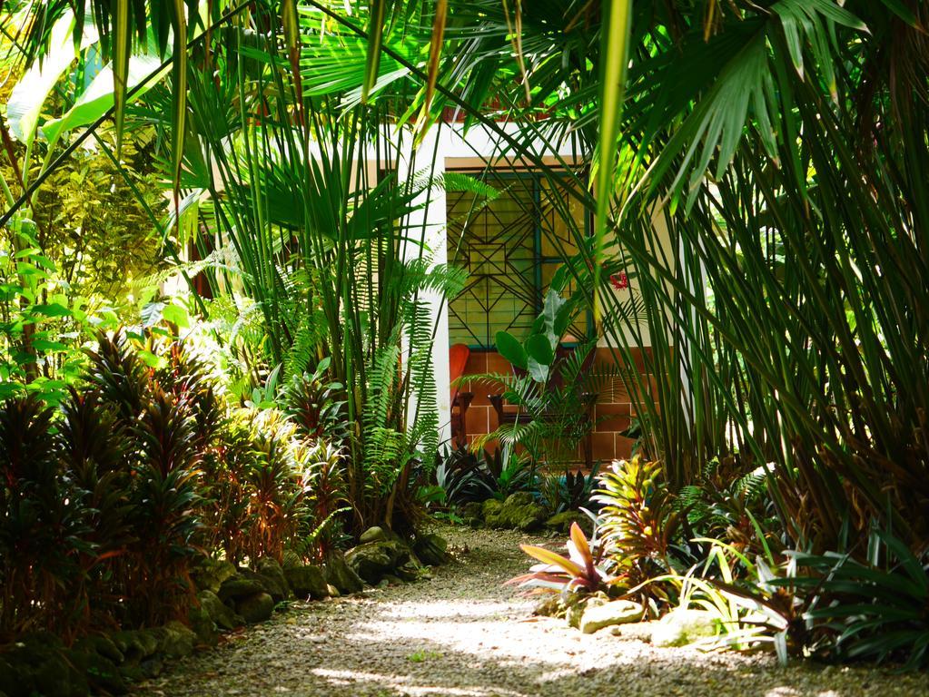 Cabinas Tito Cahuita Eksteriør bilde